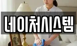 네이처시스템