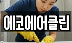 에코에어클린