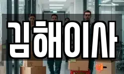 김해이사