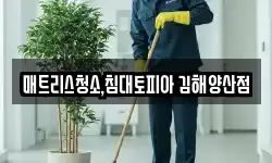 매트리스청소,침대토피아 김해양산점