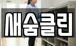 새숨클린