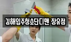 김해입주청소단디맨 장유점