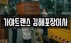 가야트랜스 김해포장이사