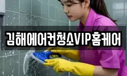 경상남도 김해시 지내동 청소,입주청소,사무실청소,에어컨청소