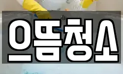 으뜸청소