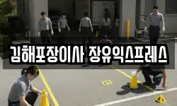 김해포장이사 장유익스프레스