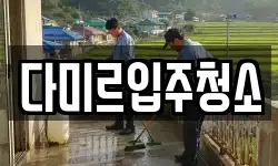 다미르입주청소