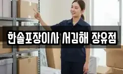 한솔포장이사 서김해 장유점