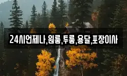 24시언제나,원룸,투룸,용달,포장이사