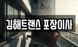 김해트랜스 포장이사