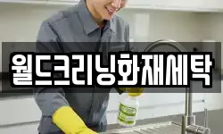 월드크리닝화재세탁