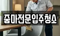 줌마전문입주청소