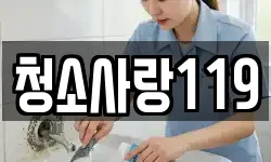 청소사랑119