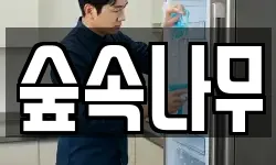 숲속나무