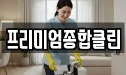 프리미엄종합클린