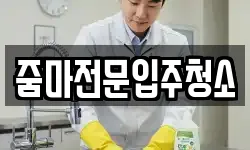 줌마전문입주청소