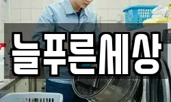 늘푸른세상