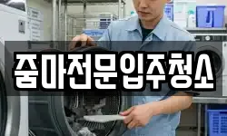줌마전문입주청소