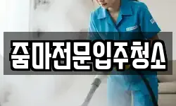 줌마전문입주청소