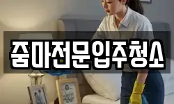 줌마전문입주청소