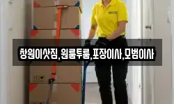 창원이삿짐,원룸투룸,포장이사,모범이사