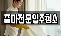 줌마전문입주청소