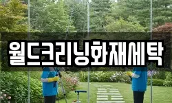월드크리닝화재세탁