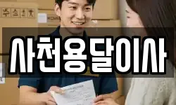사천용달이사