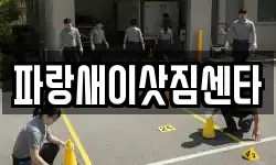 경상남도 사천시 벌리동 이사,용달이사,포장이사,원룸이사,보관이사