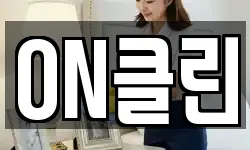 ON클린