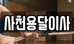 사천용달이사