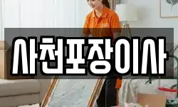 사천포장이사