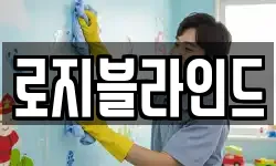 로지블라인드