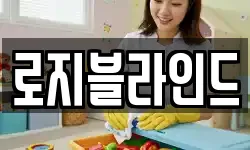 로지블라인드