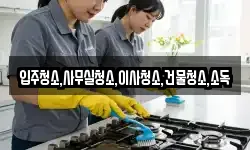 입주청소,사무실청소,이사청소,건물청소,소독