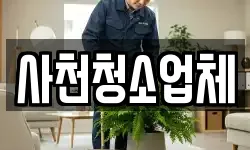 사천청소업체