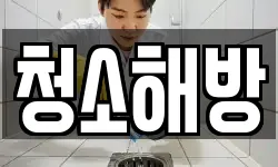 청소해방