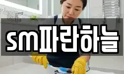 sm파란하늘