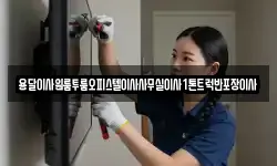 용달이사원룸투룸오피스텔이사사무실이사1톤트럭반포장이사