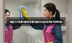 경상남도 산청군 생비량면 청소,입주청소,사무실청소,에어컨청소