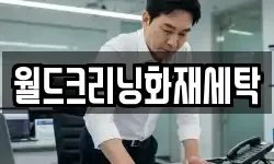 월드크리닝화재세탁