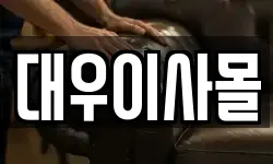 경상남도 양산시 교동 이사,용달이사,포장이사,원룸이사,보관이사