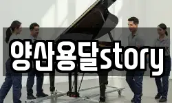 양산용달story