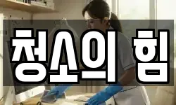 청소의 힘