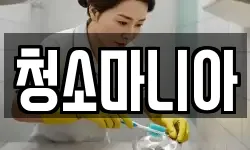 청소마니아