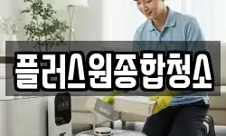 플러스원종합청소