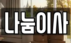 나눔이사