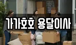 가가호호 용달이사