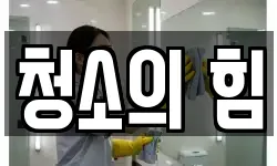 청소의 힘