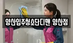 양산입주청소단디맨 양산점